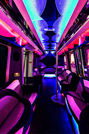 Deluxe party bus