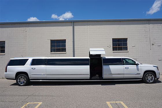 exterior design of our short party buses